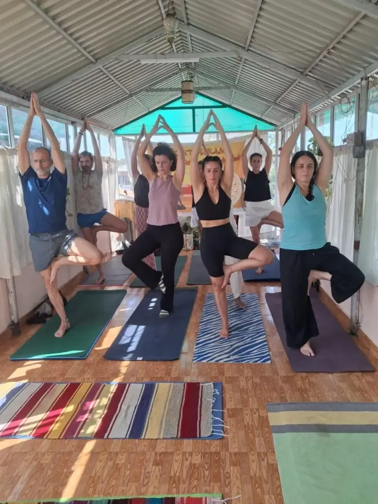 A yoga class balancing in tree pose with arms raised overhead
