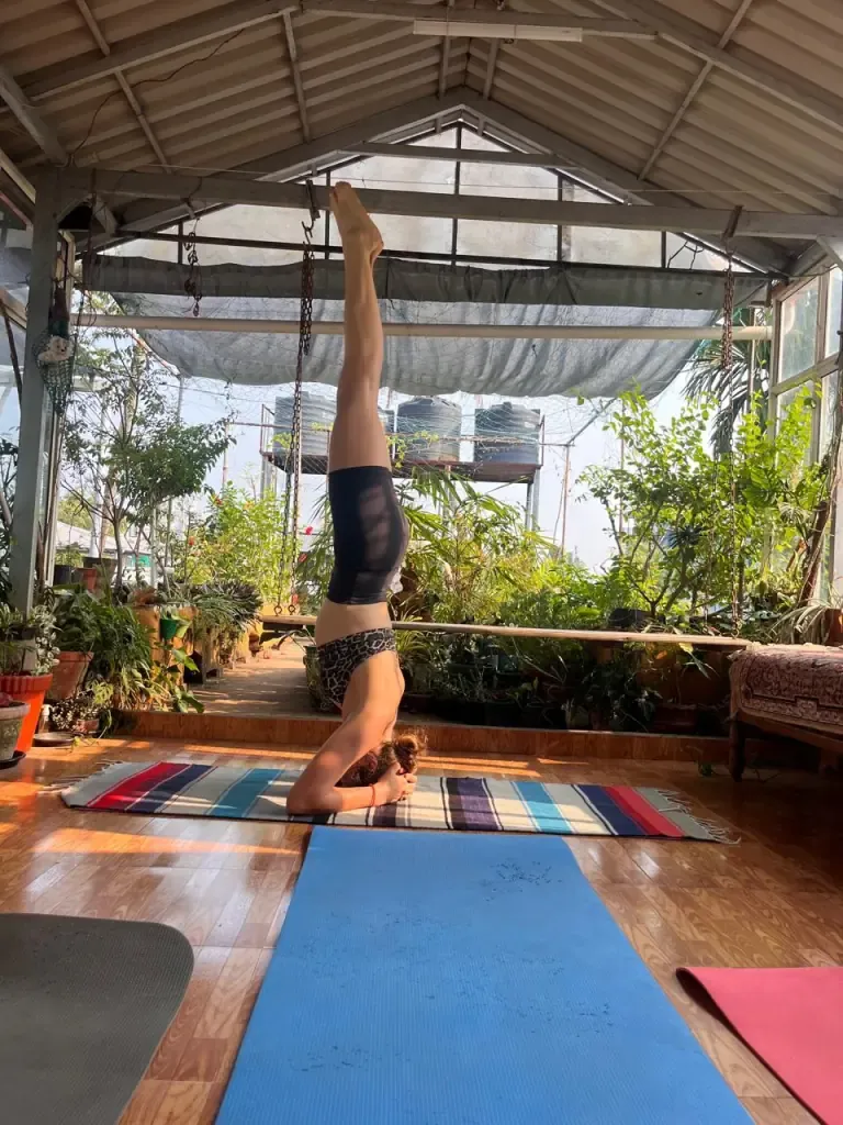 A guest holding a headstand in the sunlit rooftop shala